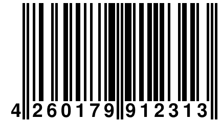 4 260179 912313