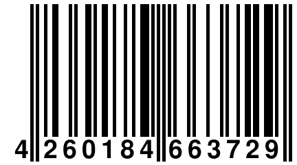 4 260184 663729