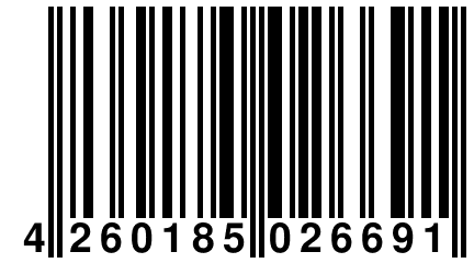4 260185 026691