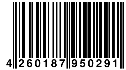 4 260187 950291