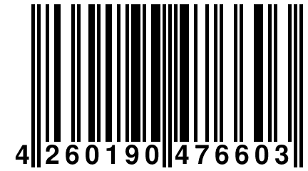 4 260190 476603