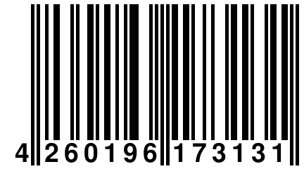 4 260196 173131