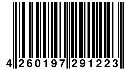 4 260197 291223