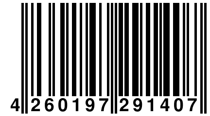 4 260197 291407