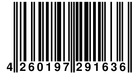 4 260197 291636