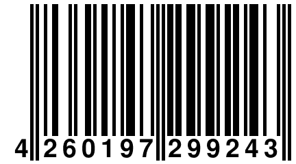 4 260197 299243