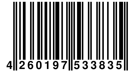 4 260197 533835