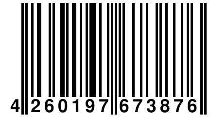 4 260197 673876