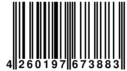 4 260197 673883