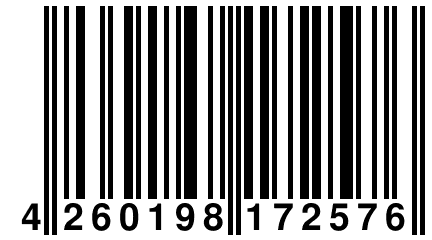 4 260198 172576