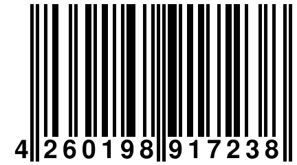 4 260198 917238