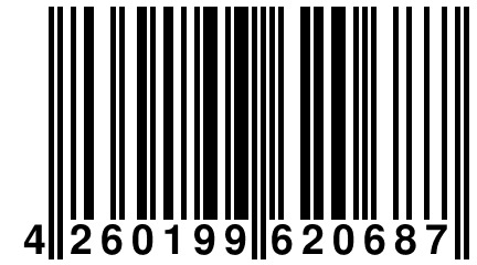 4 260199 620687