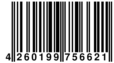 4 260199 756621
