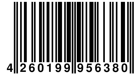 4 260199 956380