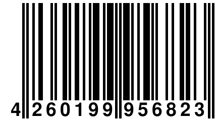 4 260199 956823