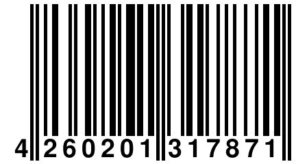 4 260201 317871