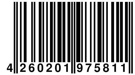 4 260201 975811