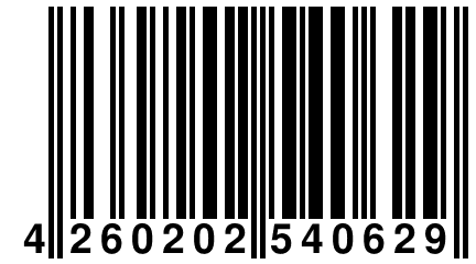 4 260202 540629