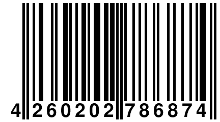 4 260202 786874