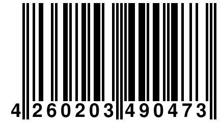 4 260203 490473