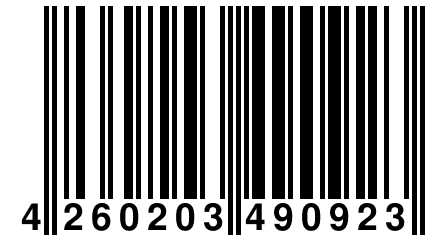 4 260203 490923