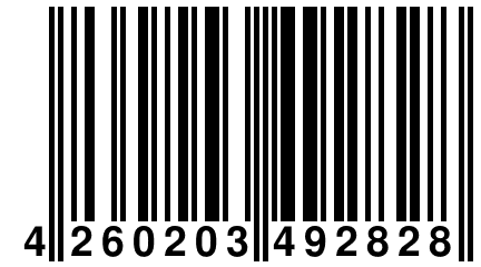 4 260203 492828
