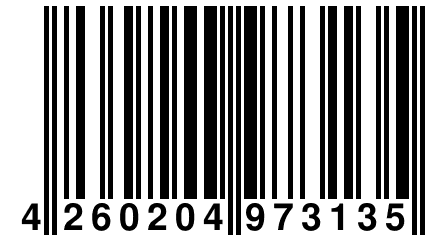 4 260204 973135
