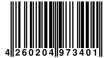 4 260204 973401