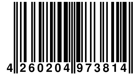 4 260204 973814