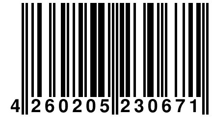 4 260205 230671