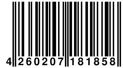 4 260207 181858