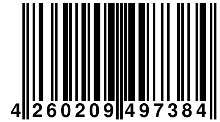4 260209 497384