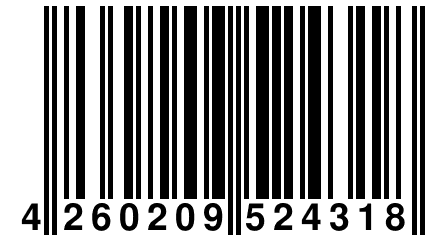 4 260209 524318