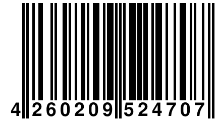 4 260209 524707