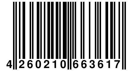 4 260210 663617