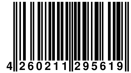 4 260211 295619