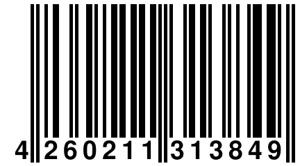 4 260211 313849