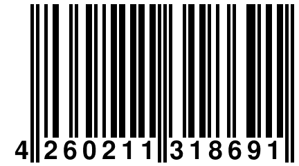 4 260211 318691