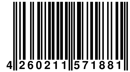 4 260211 571881