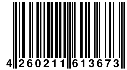 4 260211 613673