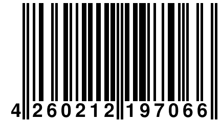 4 260212 197066