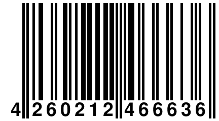 4 260212 466636