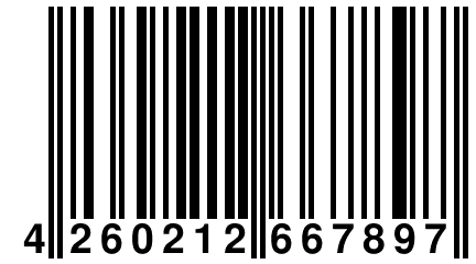 4 260212 667897