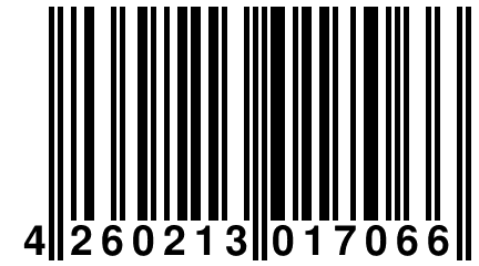 4 260213 017066