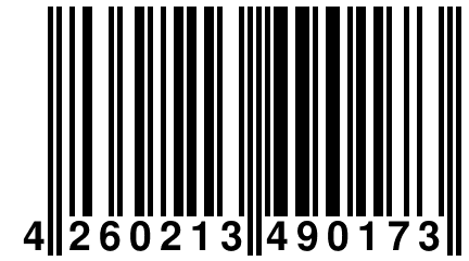 4 260213 490173