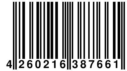 4 260216 387661