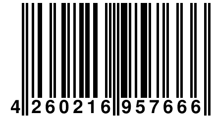 4 260216 957666