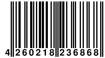 4 260218 236868
