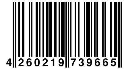 4 260219 739665