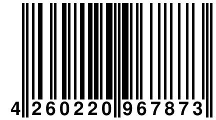 4 260220 967873